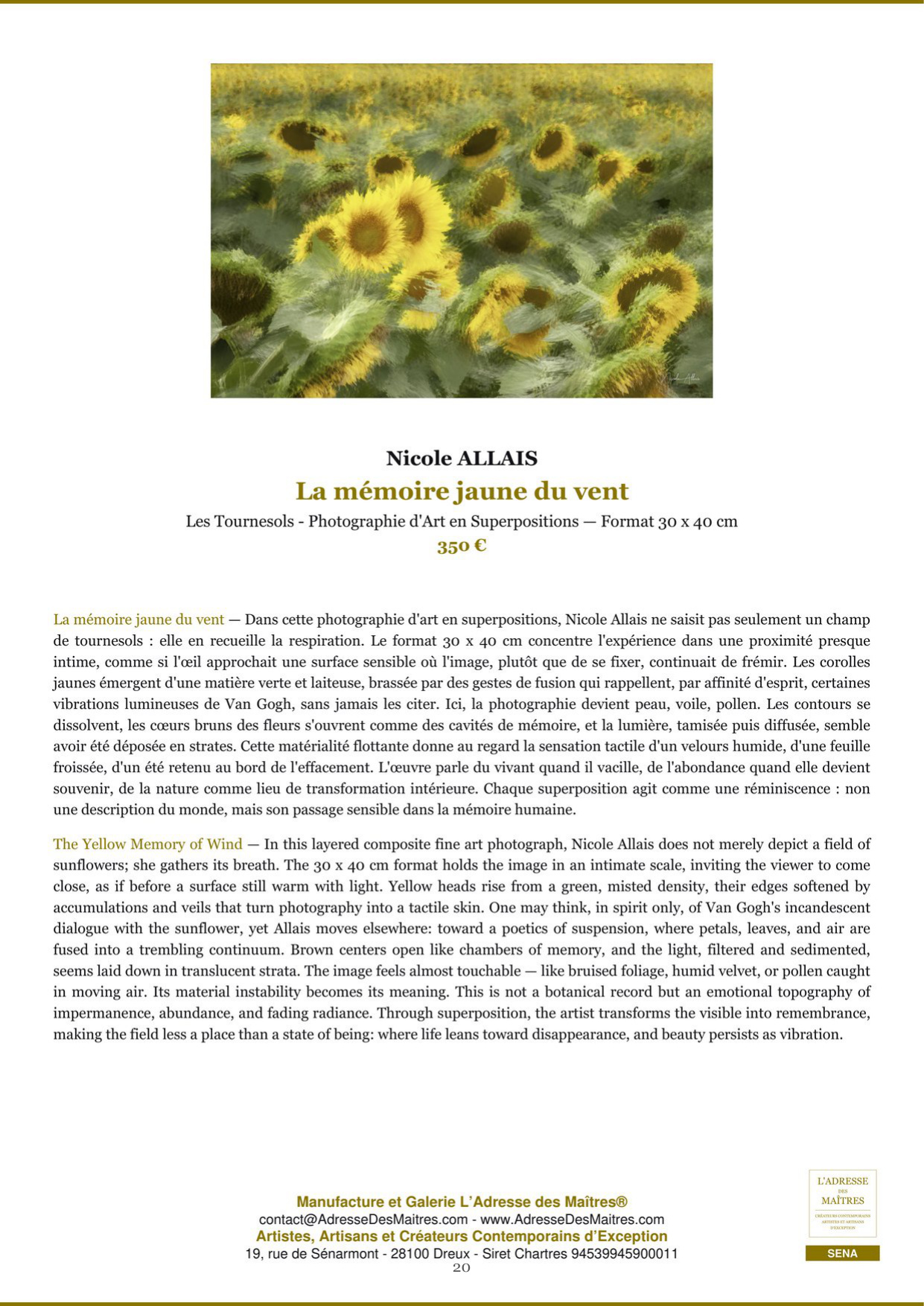 Rapport d’Analyse et de Recommandations pour Artistes