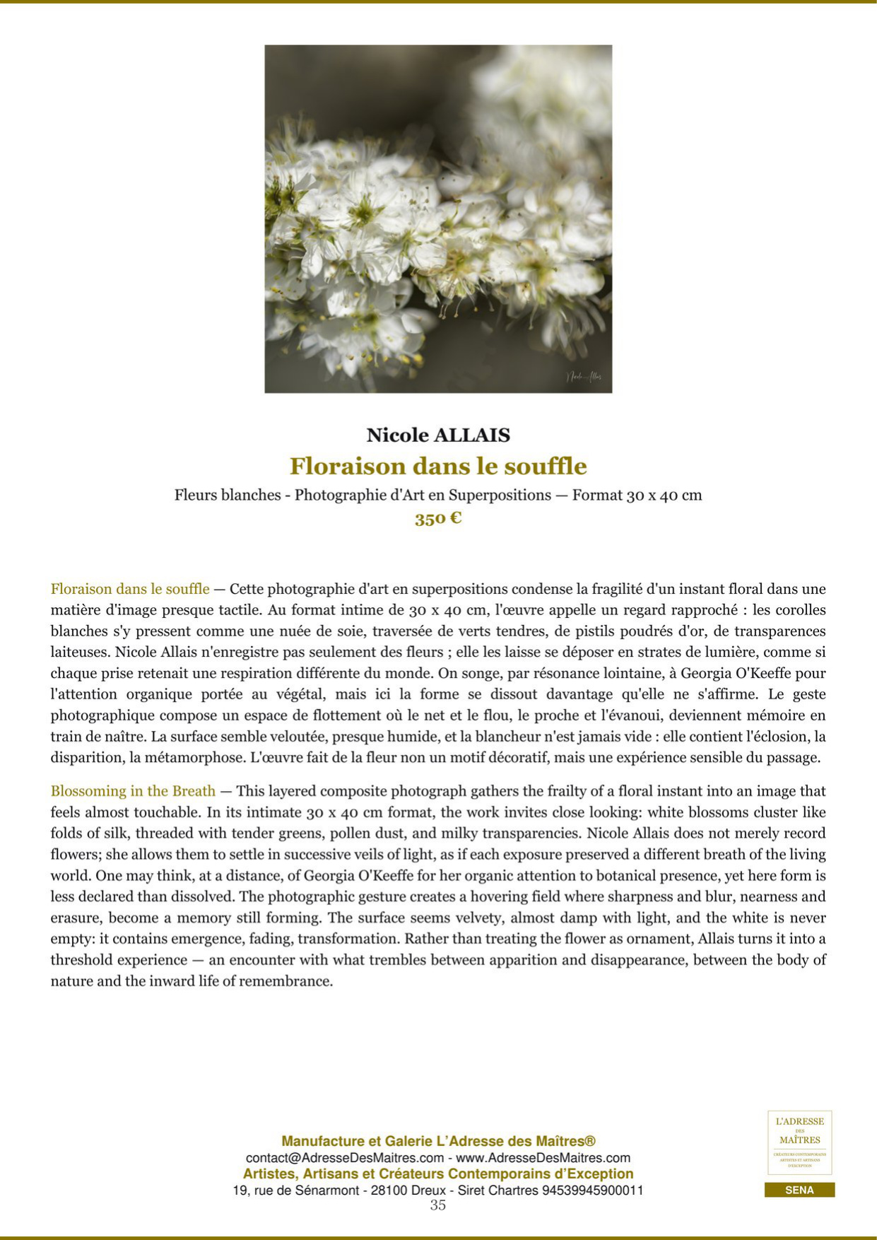 Rapport d’Analyse et de Recommandations pour Artistes
